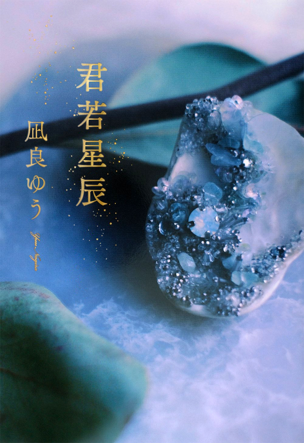 cover-hc79.jpg
